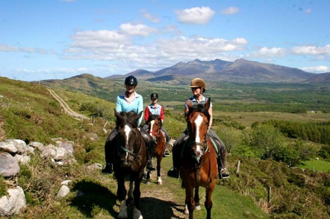 Tatler Jack Bed & Breakfast Killarney Bagian luar foto